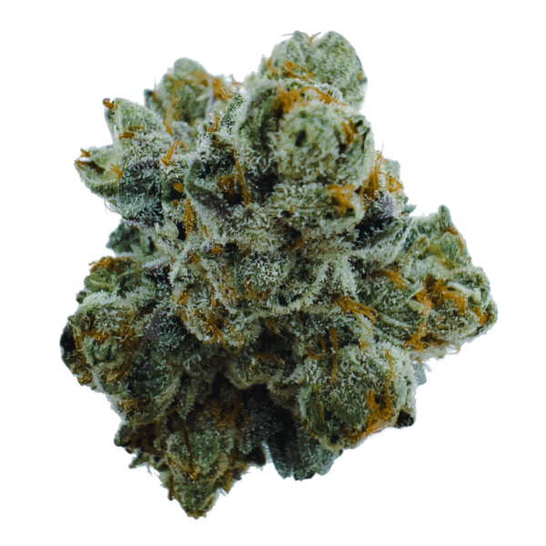 Indigo Marijuana Strain