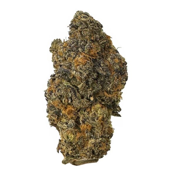 Bacio Gelato Marijuana Strain