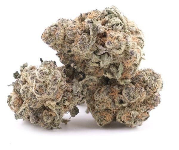 White Kush Cannabis Strain