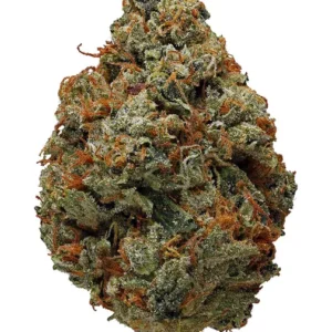 Orange Kush Cannabis Strain