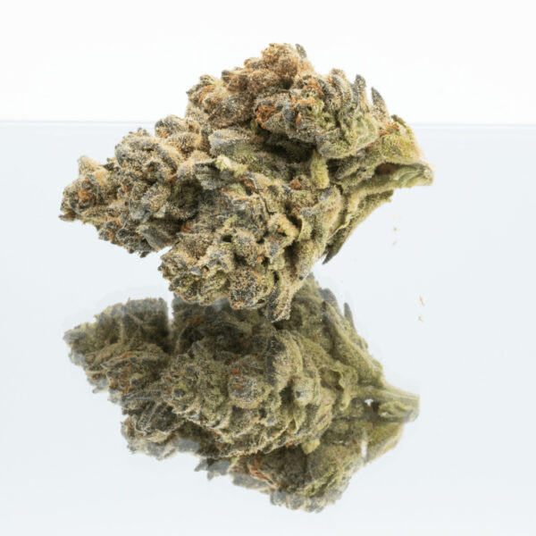 Escobar Marijuana Strain