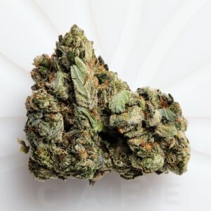 Pine Tar Kush Marijuana Strain