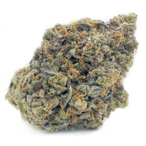 Purple Princess Weed Strain
