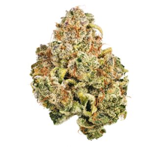 Green Dragon Marijuana Strain