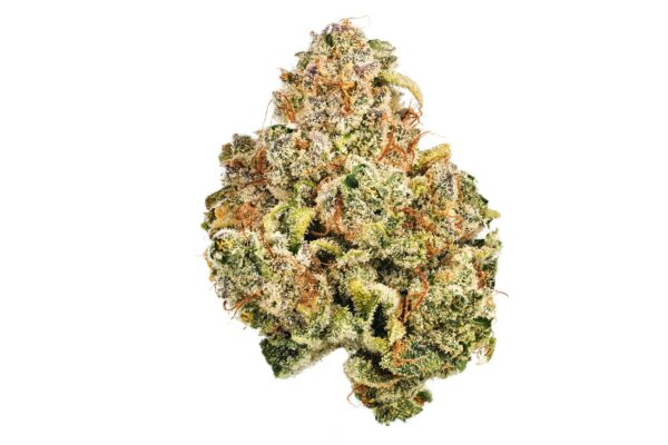Green Dragon Marijuana Strain