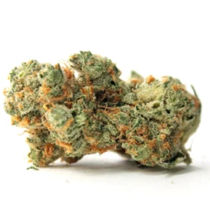 Afghan Purple Kush Strain