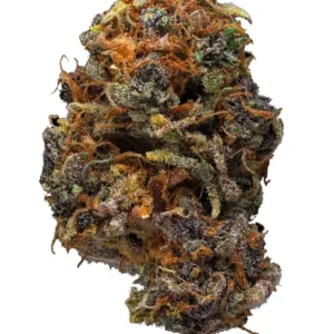 Bay 11 Weed Strain
