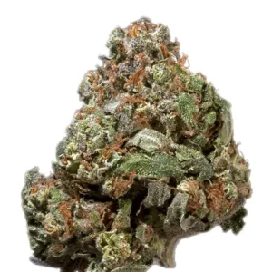 kunk #1 Marijuana Strain