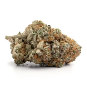 Strawberry Cough Cannabis Strain