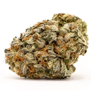 Hogs Breath Cannabis Strain