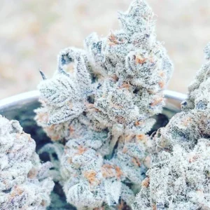 White Rhino Weed Strain