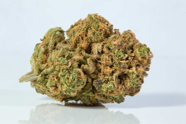 Blue Dream Marijuana Strain
