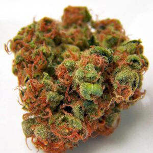 Redhead 18 Cannabis Strain