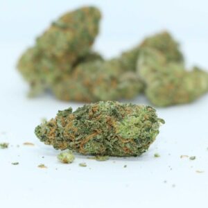 Big Buddha Cheese Weed