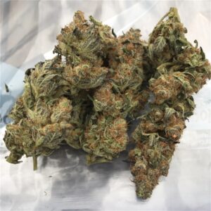Cookies and Cream Marijuana Strain