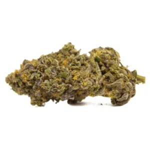 Lions Gate Marijuana Strain