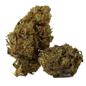 Bentley OG Marijuana Strain