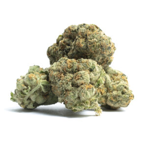 Thin Mint Girl Scout Cookies