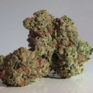 Confidential Cheese Marijuana Strain