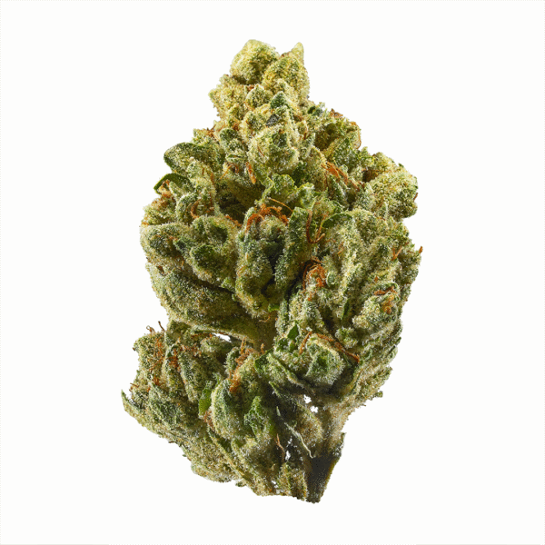 Disneyland OG Cannabis Strain