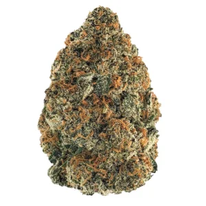 Gelato Marijuanan Strain