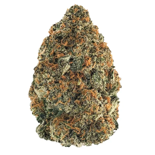 Gelato Marijuanan Strain