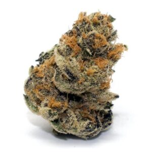 Platinum Girl Scout Cookies Strain
