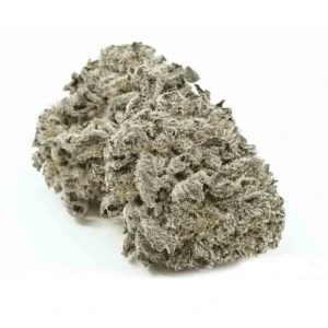 Purple Urkle Marijuana Strain