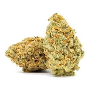 White Guava Cannabis Strain